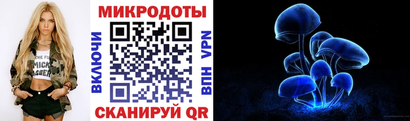 купить наркоту  Новокубанск  Псилоцибиновые грибы мицелий 